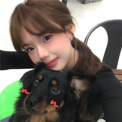 探险活宝第七季